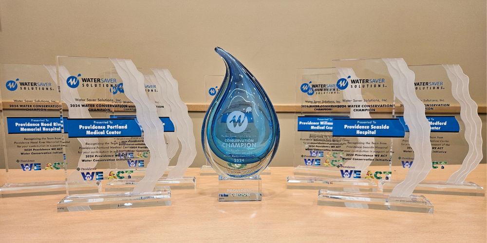 WSS-Award-for-Providence-OR (2) Providence Oregon Awards